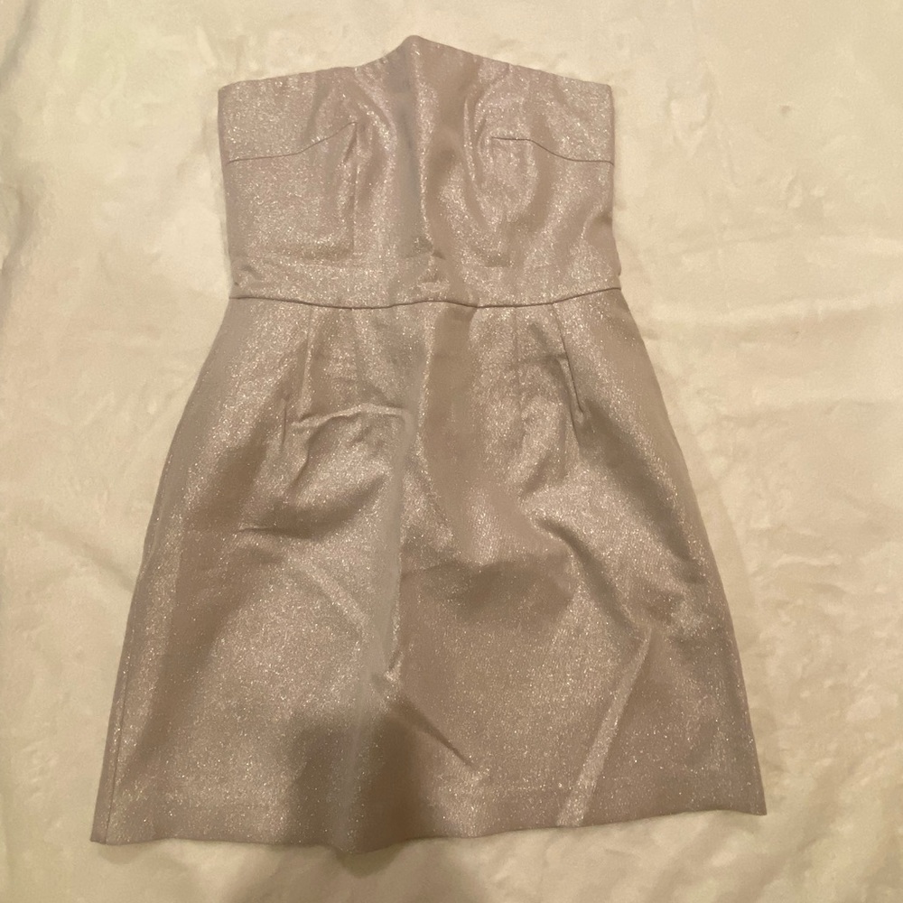 Silver Glittery Thigh/Knee Length Strapless Dress
